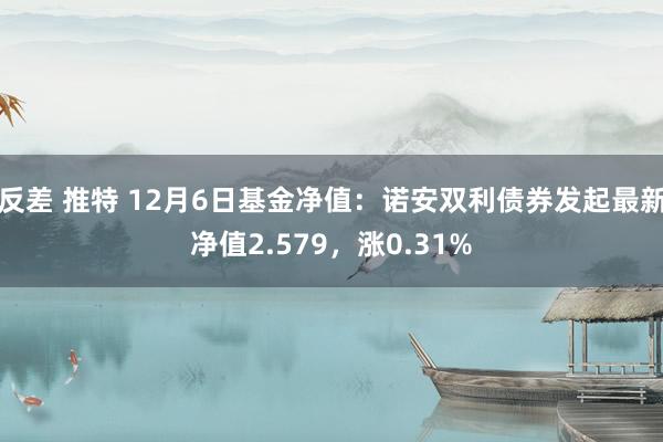 反差 推特 12月6日基金净值：诺安双利债券发起最新净值2.579，涨0.31%