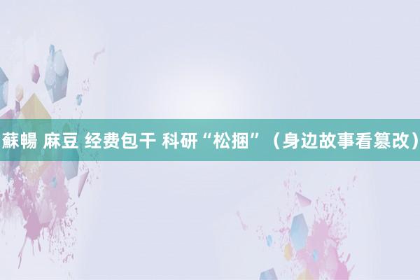 蘇暢 麻豆 经费包干 科研“松捆”（身边故事看篡改）