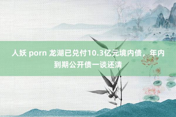 人妖 porn 龙湖已兑付10.3亿元境内债，年内到期公开债一谈还清