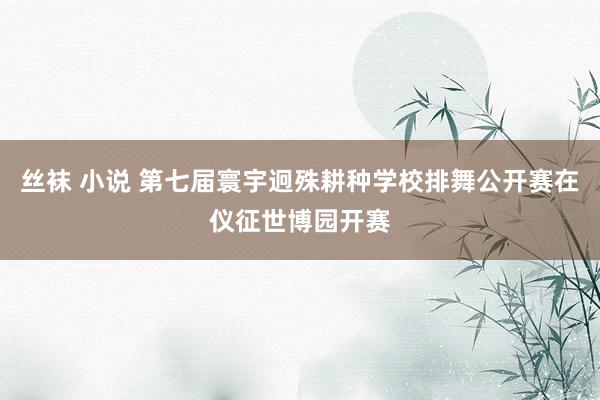 丝袜 小说 第七届寰宇迥殊耕种学校排舞公开赛在仪征世博园开赛