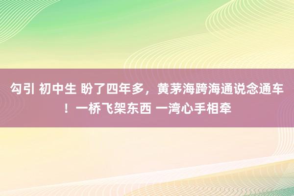 勾引 初中生 盼了四年多，黄茅海跨海通说念通车！一桥飞架东西 一湾心手相牵