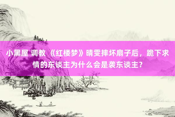 小黑屋 调教 《红楼梦》晴雯摔坏扇子后，跪下求情的东谈主为什么会是袭东谈主？