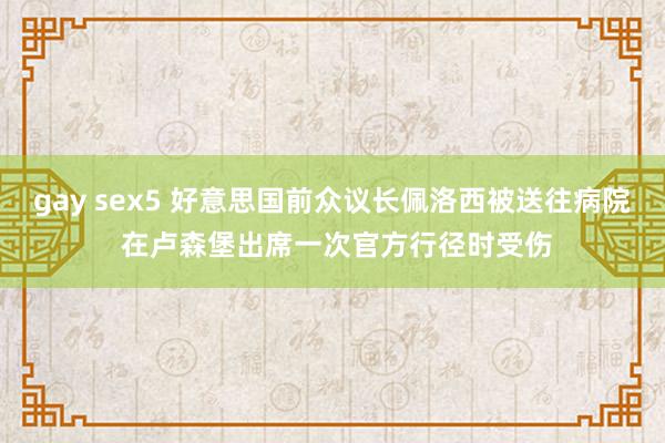 gay sex5 好意思国前众议长佩洛西被送往病院 在卢森堡出席一次官方行径时受伤