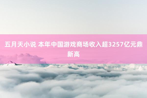 五月天小说 本年中国游戏商场收入超3257亿元鼎新高