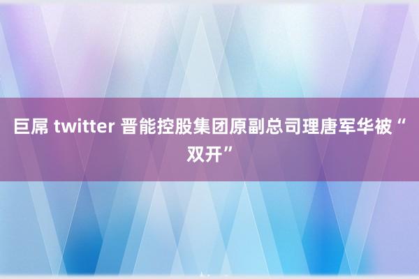 巨屌 twitter 晋能控股集团原副总司理唐军华被“双开”