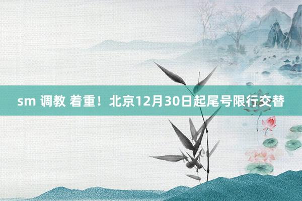 sm 调教 着重！北京12月30日起尾号限行交替