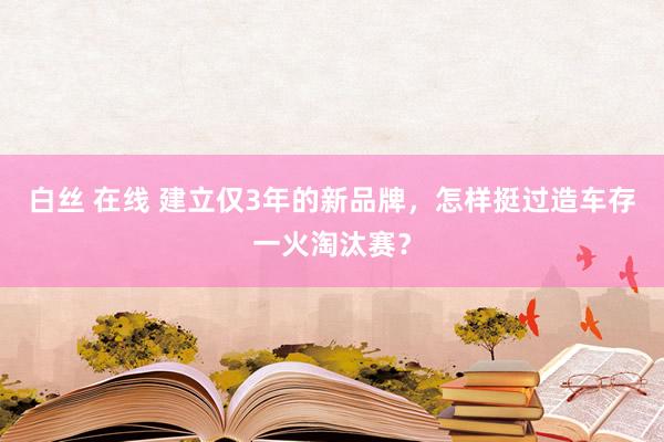 白丝 在线 建立仅3年的新品牌，怎样挺过造车存一火淘汰赛？