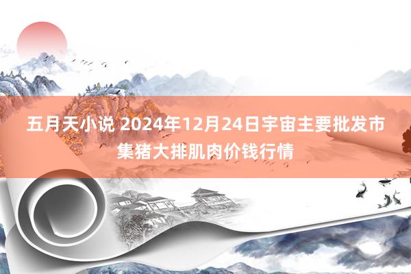 五月天小说 2024年12月24日宇宙主要批发市集猪大排肌肉价钱行情