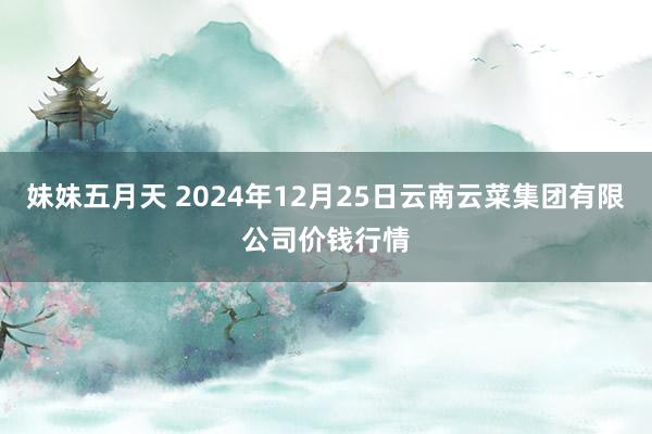 妹妹五月天 2024年12月25日云南云菜集团有限公司价钱行情