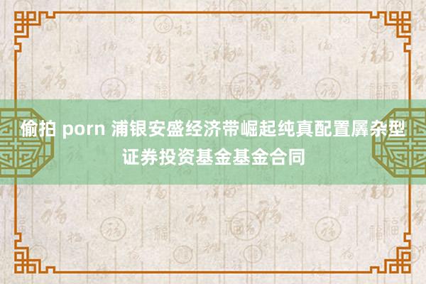 偷拍 porn 浦银安盛经济带崛起纯真配置羼杂型证券投资基金基金合同