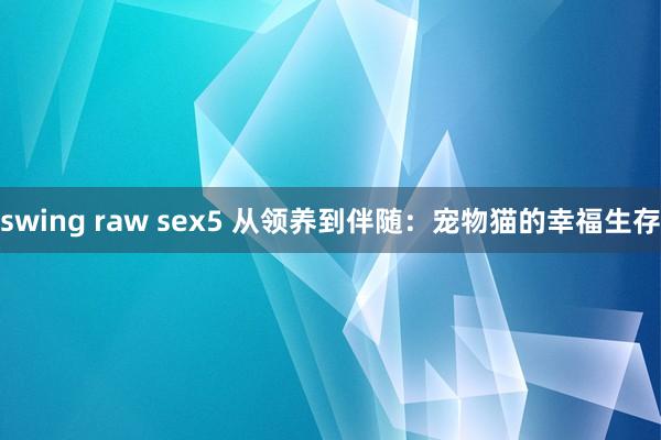 swing raw sex5 从领养到伴随：宠物猫的幸福生存