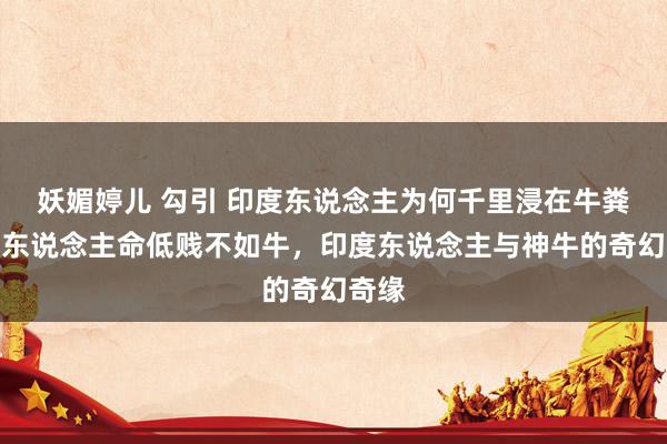 妖媚婷儿 勾引 印度东说念主为何千里浸在牛粪中？东说念主命低贱不如牛，印度东说念主与神牛的奇幻奇缘