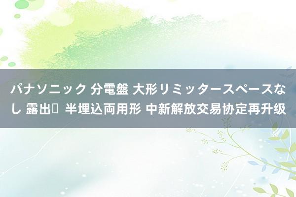 パナソニック 分電盤 大形リミッタースペースなし 露出・半埋込両用形 中新解放交易协定再升级