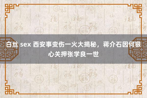 白丝 sex 西安事变伤一火大揭秘，蒋介石因何狠心关押张学良一世