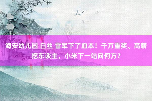 海安幼儿园 白丝 雷军下了血本！千万重奖、高薪挖东谈主，小米下一站向何方？