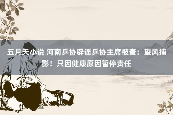 五月天小说 河南乒协辟谣乒协主席被查：望风捕影！只因健康原因暂停责任