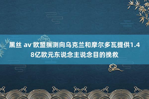 黑丝 av 欧盟揣测向乌克兰和摩尔多瓦提供1.48亿欧元东说念主说念目的挽救