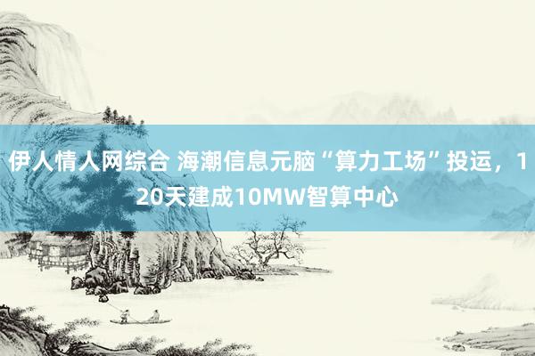 伊人情人网综合 海潮信息元脑“算力工场”投运，120天建成10MW智算中心